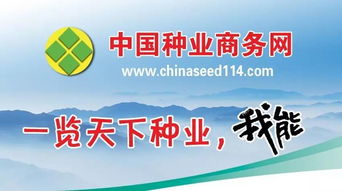 中國(guó)種業(yè)商務(wù)網(wǎng) 種子包裝二維碼系統(tǒng) 請(qǐng)您驗(yàn)收