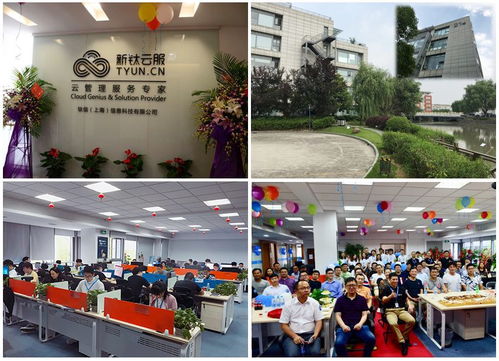 某商務(wù)咨詢公司it系統(tǒng)優(yōu)化實(shí)踐 案例